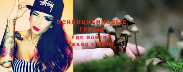 ALPHA PVP Алзамай