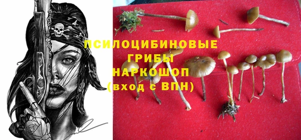 ALPHA PVP Алзамай