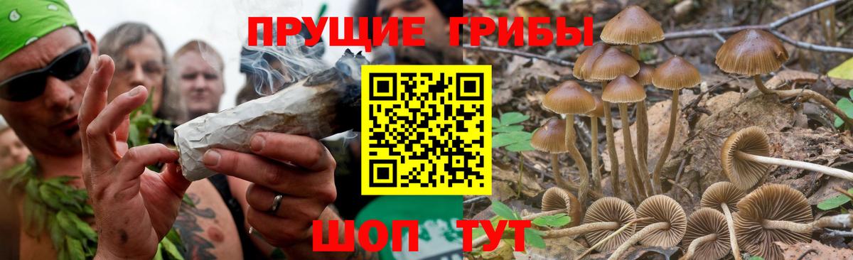 Гуково  Псилоцибиновые грибы Magic Shrooms  Вход с VPN 