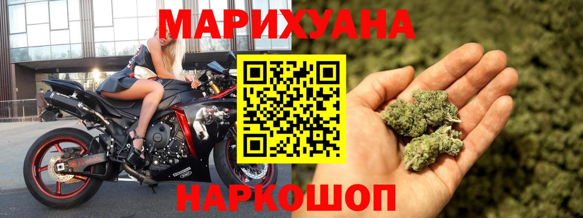Конопля гибрид Гуково